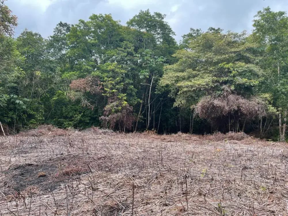 18.75 ACRES - Ocean View, Easy Access Uvita, Puntarenas