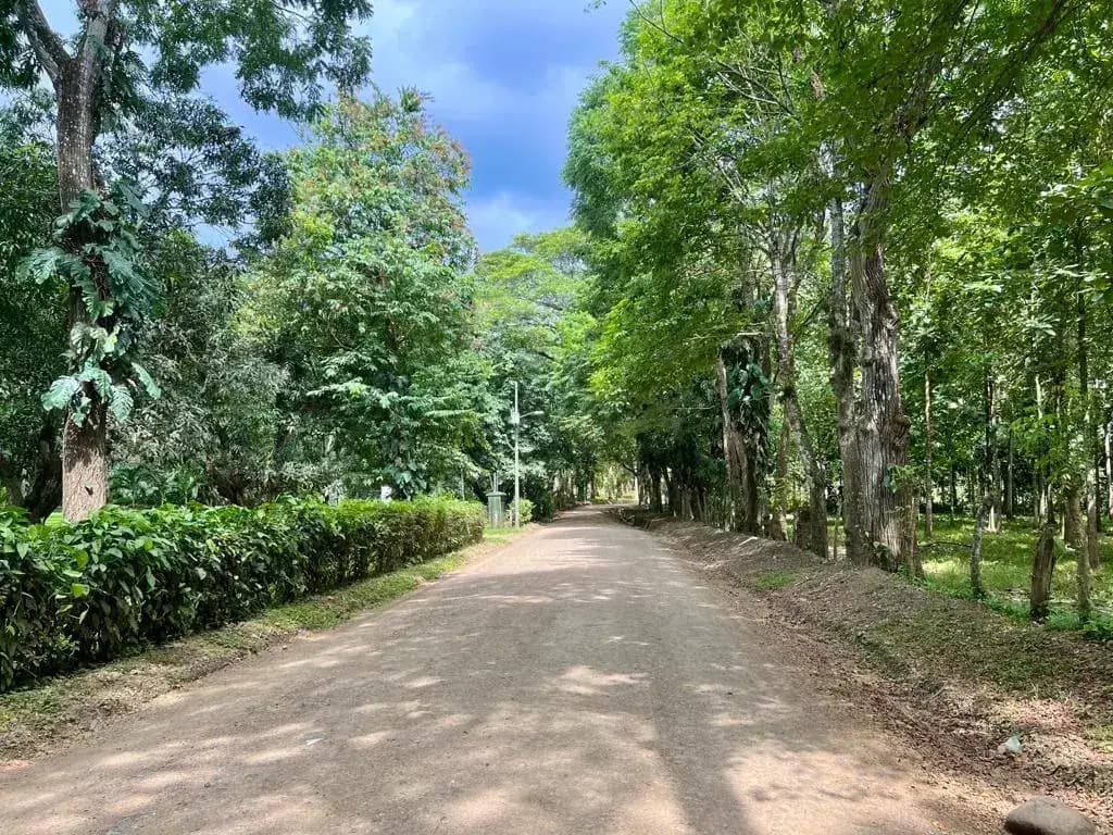 13 Hectares Development Opportunity in Herradura Herrradura
