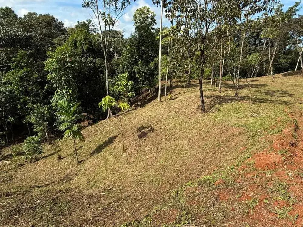 Land Lots for Sale in Damas, Quepos - Available Now