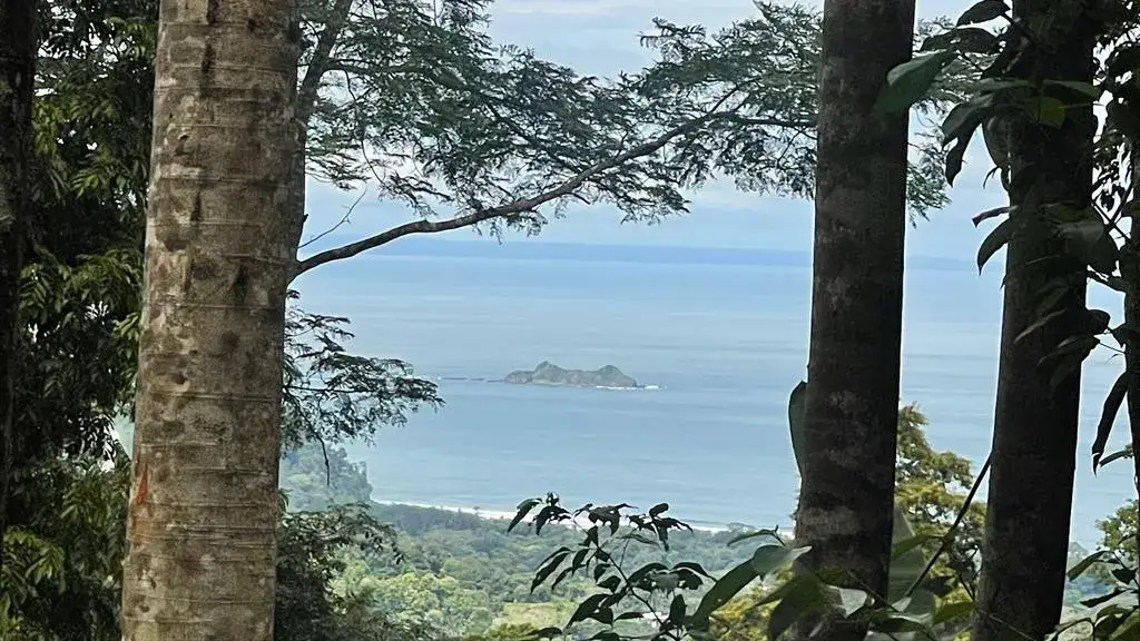 Paradise In Uvita, Jungle and Ocean View! Uvita, Puntarenas