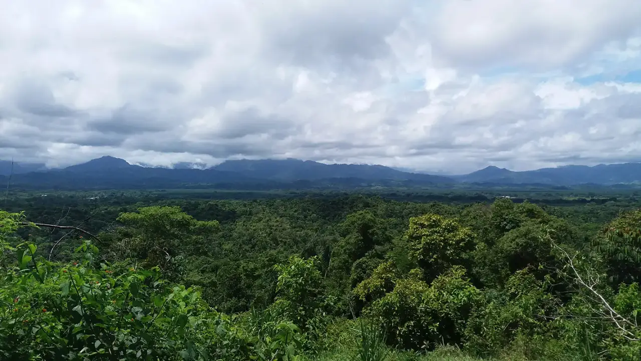 84 Hectare Mountain Top Land Manuel Antonio, Puntarenas