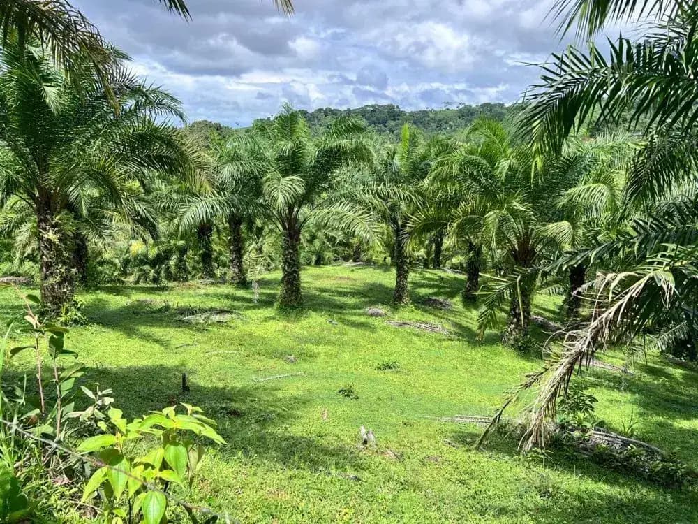 44-hectare farm in Parrita, Costa Rica